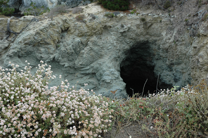 Point Lobos 053.jpg